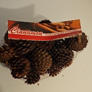 Cinnamon Scented Pine Cones